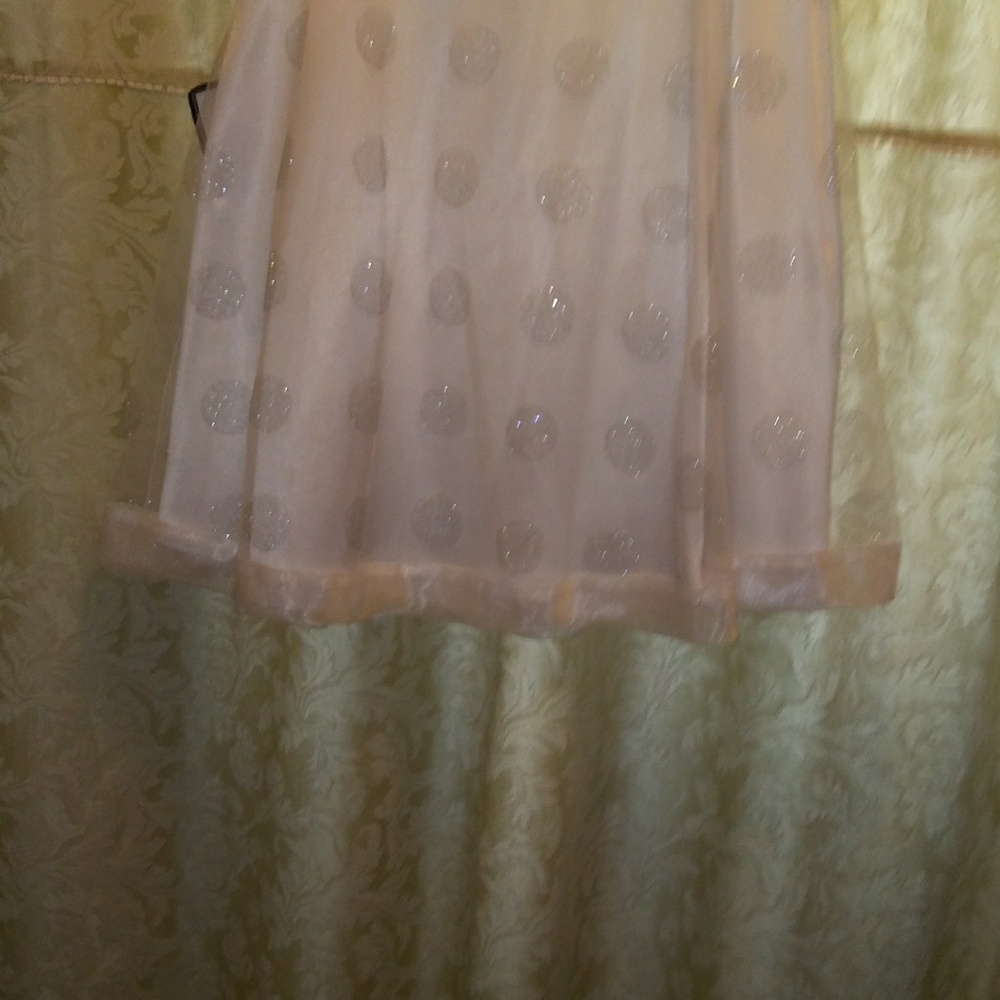 🔥PRICE DROP🔥skirt w/silver glittery dots - Picture 4 of 6